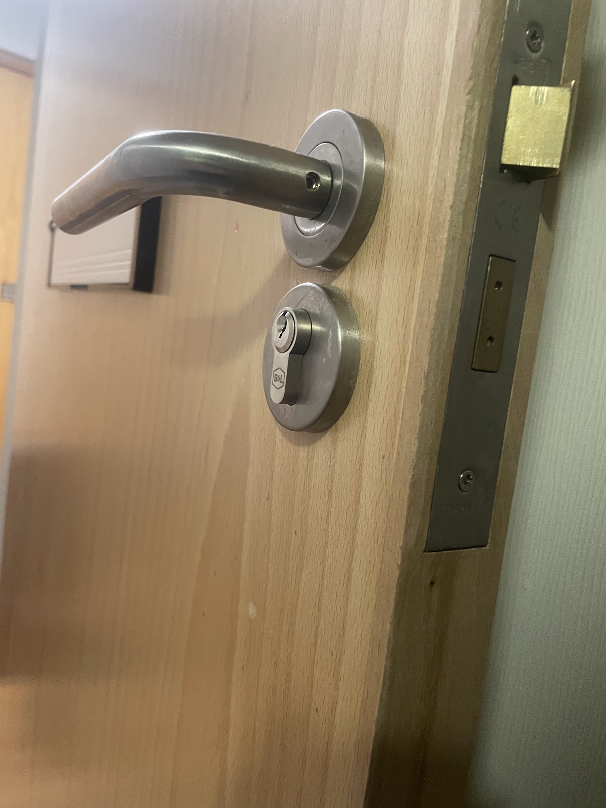 Satin lever handle, cylinder and strike plate on a commercial fire door